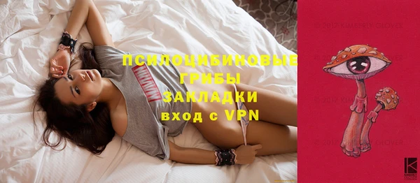 Альфа ПВП Лагань